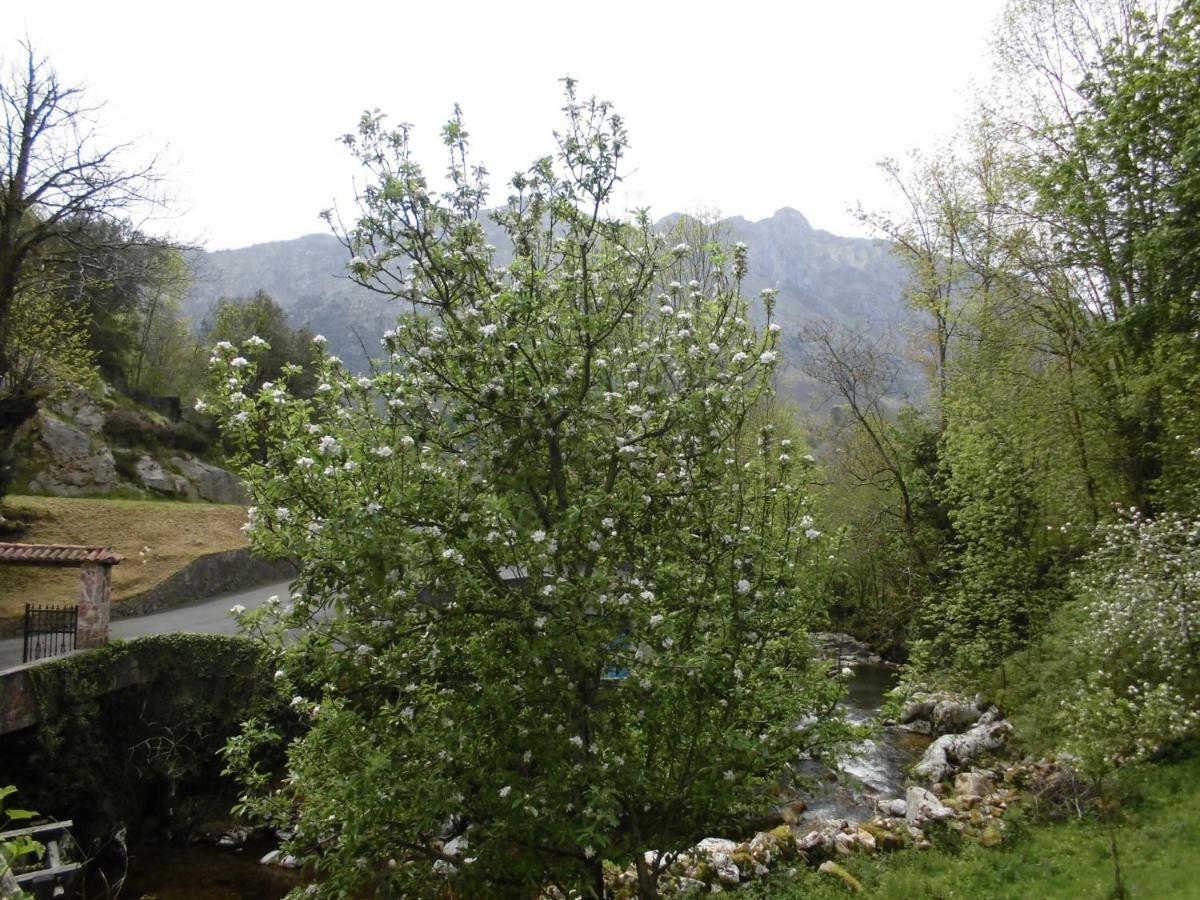 Hotel El Molino à Arenas De Cabrales Extérieur photo