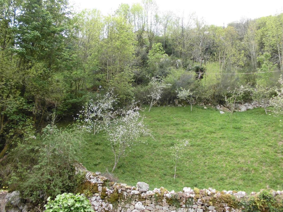 Hotel El Molino à Arenas De Cabrales Extérieur photo